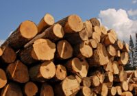 Преимущества бруса из лиственницы