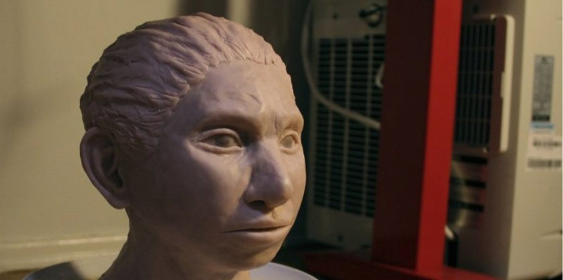 Спасибі предкам. Міжвидове схрещування Homo sapiens і денисівців вплинуло на психіку сучасних людей